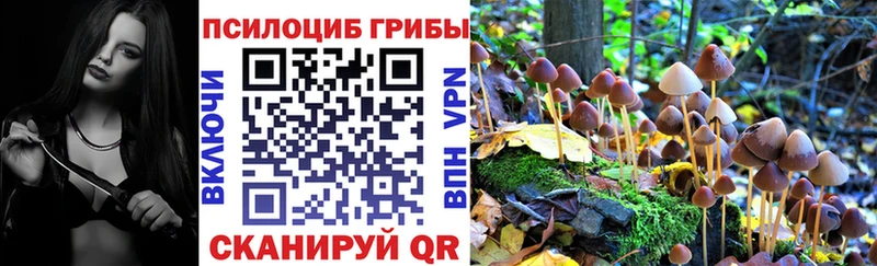 Псилоцибиновые грибы Psilocybine cubensis  MEGA   Яранск  где купить наркоту 
