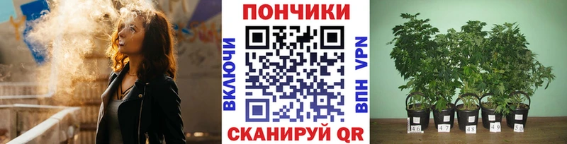 Шишки марихуана сатива  mega ТОР  Яранск 
